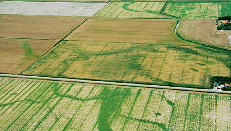 Polders van het Eijerland | © Ecomare